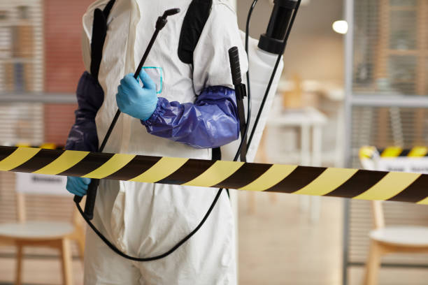 Professional Infectious Disease Decontamination technician working in Biola, CA